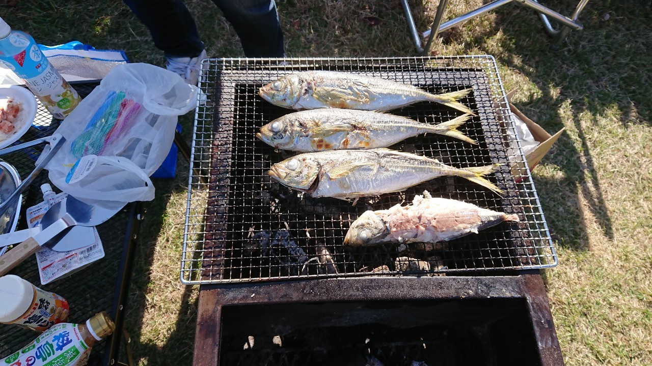 貴重な釣果！ふわふわでした