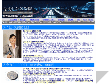 ヒロ損害保険