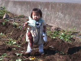 かみさんの夢 「そのための芋だろうが」
