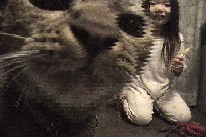 ななちゃんとモモ 2