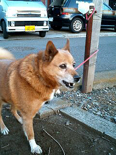 ナワ
