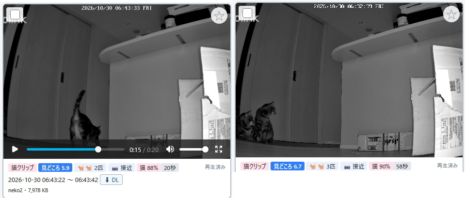 思いやりNEKO LOG あらためて感じる猫たちの魅力、そして愛情