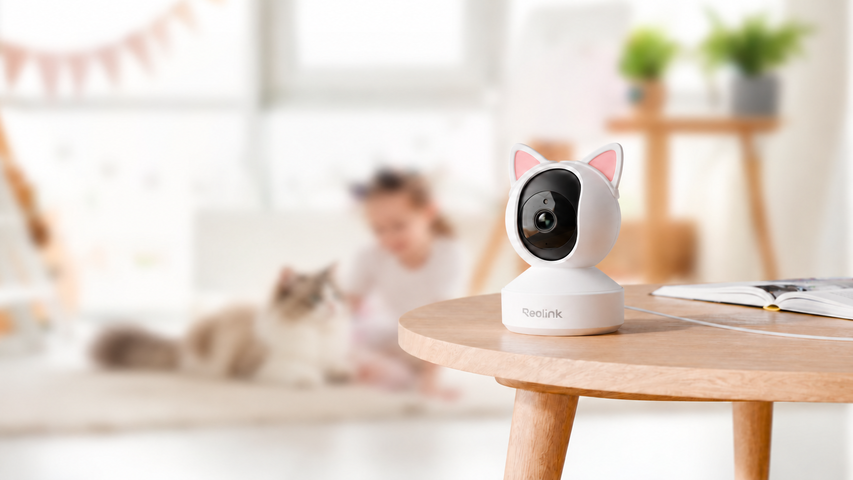 思いやりNEKO LOG あらためて感じる猫たちの魅力、そして愛情